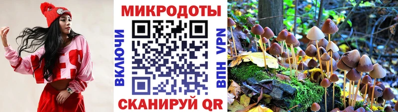 блэк спрут зеркало  Кологрив  Галлюциногенные грибы прущие грибы  даркнет сайт 
